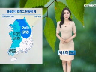 [날씨] 오늘(수) 흐리고 단속적 비…더위 잠시 수그러들어