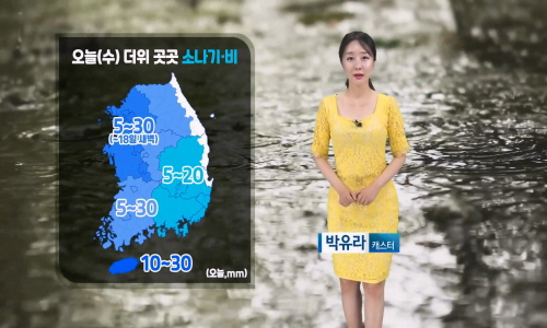 [날씨] 오늘(수) 30℃ 안팎 더위 지속…소나기/비
