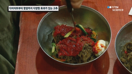 다이어트부터 항암까지 다양한 효과가 있는 고추