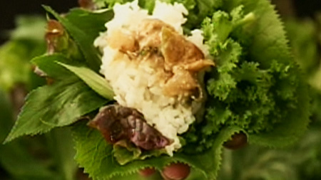 맛있는 봄, 남양주 건강 쌈