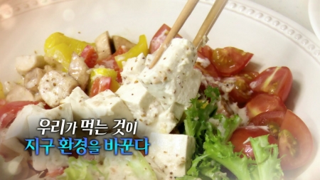 우리가 먹는것이 지구 환경을 바꾼다