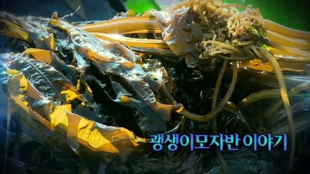 괭생이모자반 이야기