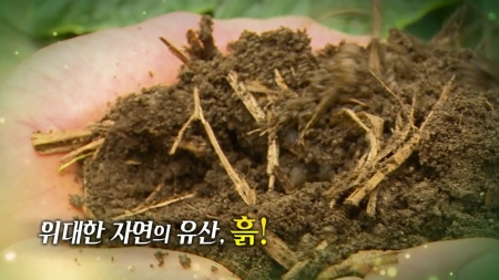 위대한 자연의 유산, 흙