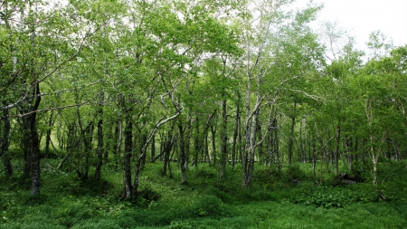 산과 숲을 지키는 길