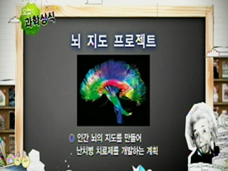 뇌 지도 프로젝트