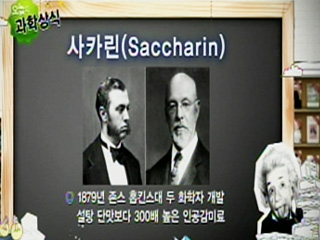 사카린(Saccharin)