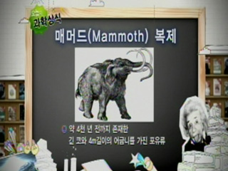 매머드(Mammoth) 복제