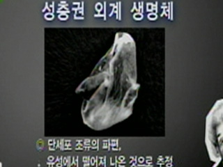 성층권 외계 생명체
