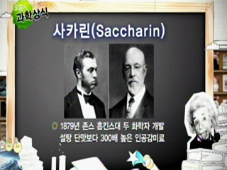 사카린(Saccharin)