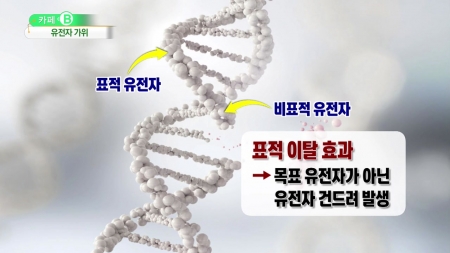유전자 가위 '오작동' 가능성은?