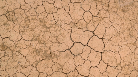 [날씨학개론] '토지가 황폐해진다'…인류 미래의 어두운 그림자 '사막화'