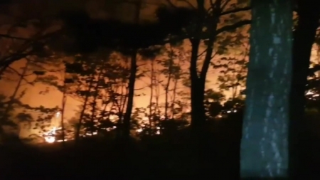 산림청, 산불 재난 국가 위기경보 '관심' 발령