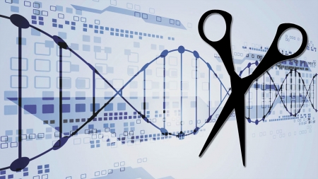 미토콘드리아 DNA 교정하는 새 유전자 가위 개발
