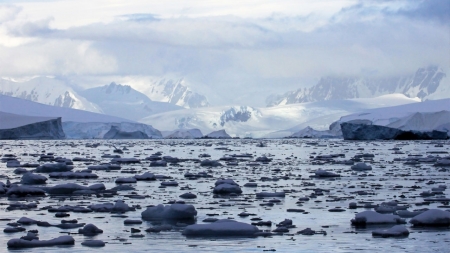 [날씨학개론] 따뜻해지는 북극…얼음 녹으면 발생하는 문제는?
