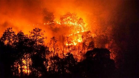 [날씨학개론] 기후변화로 일어나는 대형산불, 원인과 대처 방법은?