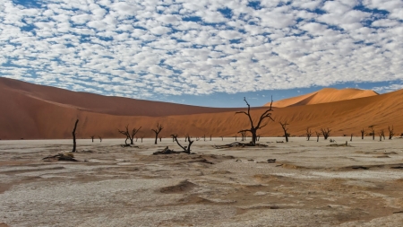 [날씨학개론] 동아프리카의 극심한 가뭄