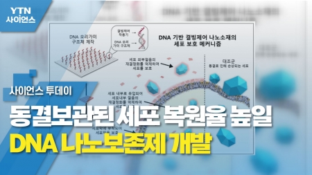 동결보관된 세포 복원율 높일 DNA 나노보존제 개발
