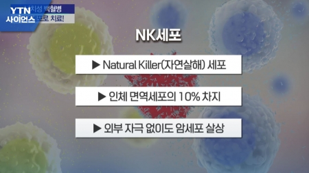 [바이오위클리] NK세포로 난치성 암 치료…인게니움테라퓨틱스