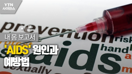 [내 몸 보고서] 'AIDS' 원인과 예방법