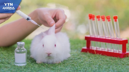[바이오 위클리] 美 신약개발 시 동물실험 의무 조항 삭제…이유와 파장은?