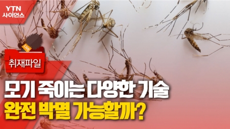 [사이언스 취재파일] 모기 죽이는 다양한 기술…완전 박멸 가능할까?