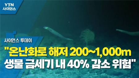 "온난화로 해저 200~1,000m 생물 금세기 내 40% 감소 위험"