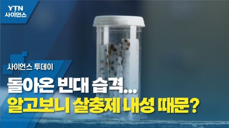 [과학 한스푼] 돌아온 빈대 습격...알고보니 살충제 내성 때문?