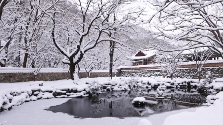 북극발 최강 한파에 폭포도 얼었다...설국으로 변한 서해안