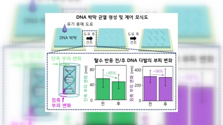 탈수 현상 이용해 DNA 균열 원하는 대로 만드는 기술 개발