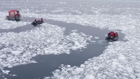 "지난해 남극 해빙 감소, 2천 년에 한 번 있을 사건"