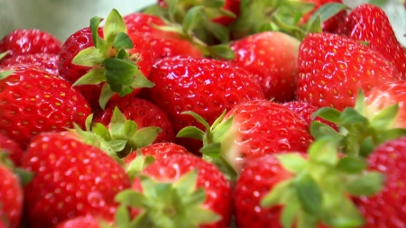 [新농비] "한여름에도 딸기 가능?"...지하수 활용 수랭식 냉난방