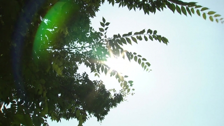 [날씨] "오늘 서울 33℃ 더위 절정"...내일 비 내리며 주춤