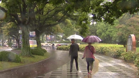제주 내일까지 장맛비 최고 200mm...내륙은 폭염 계속