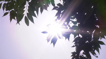 서울 이틀 만에 다시 '폭염경보'...경기 일부도 확대