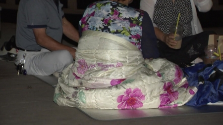 '열대야가 뭐예요?'...폭염 없는 '별천지' 대관령