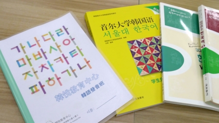 AI 한국어 교사 개발...세종학당도 300곳으로 확대