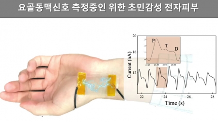 "1만번 사용해도 끄떡없어"…초민감 전자피부 개발