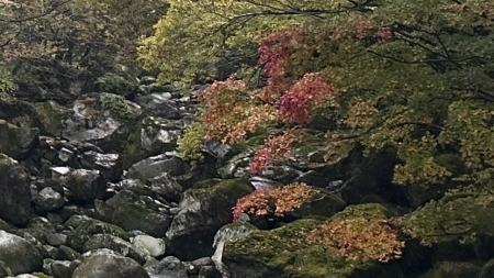 한라산 첫 단풍, 관측이래 가장 늦어...설악산 늦은 절정