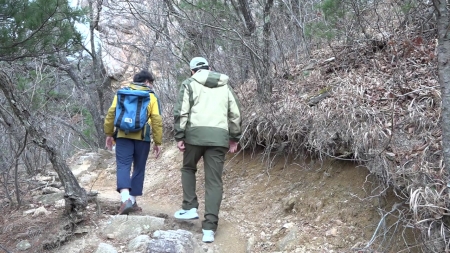 탐방로, 설치하면 끝?...산림 훼손 가속화 원인