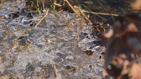 강원·경기 북동부 한파특보...내일 -12℃↓ 강추위