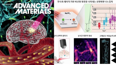 상향변환 나노입자 활용한 생체 조직 촬영 기술 개발