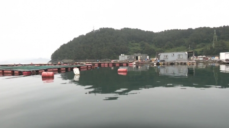 올해도 뜨거운 경남 앞바다...대비는 어떻게?