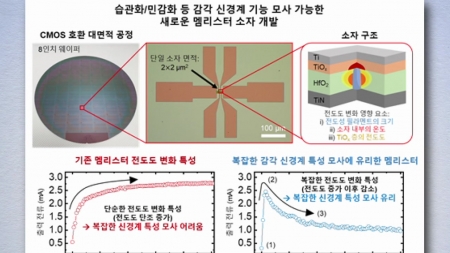 사람처럼 자극 효율적으로 반응하는 '인공 감각 신경계' 구현