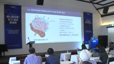 "암 병용치료제 '페니트리움', 가짜내성 극복 효과 확인"