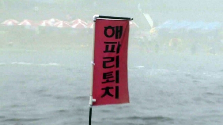 부산 해운대해수욕장 해파리 차단망 설치하기로