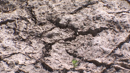 강원 영동 폭염경보...9월에도 '기상 가뭄' 계속될 듯