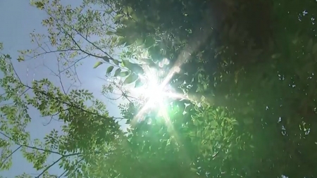 한낮 늦더위 지속, 서울 33℃...충청 이남 소나기