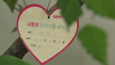 장기이식 대기 중 사망 3천 명 ↑...뇌사 기증 '답보'