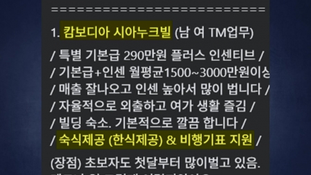 "캄보디아에 쉬운 돈벌이"...범죄인 줄 알고 출국한 사례도