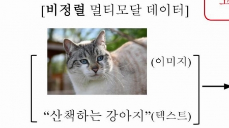[사이다] ② 이제 그림·글 정보 균형 있게 이해한다!